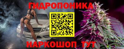 эйфоретик Кандалакша