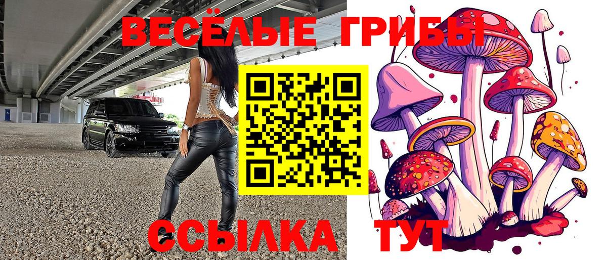 Галлюциногенные грибы Psilocybine cubensis Изобильный